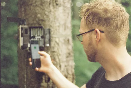 Placing a cameratrap on a tree