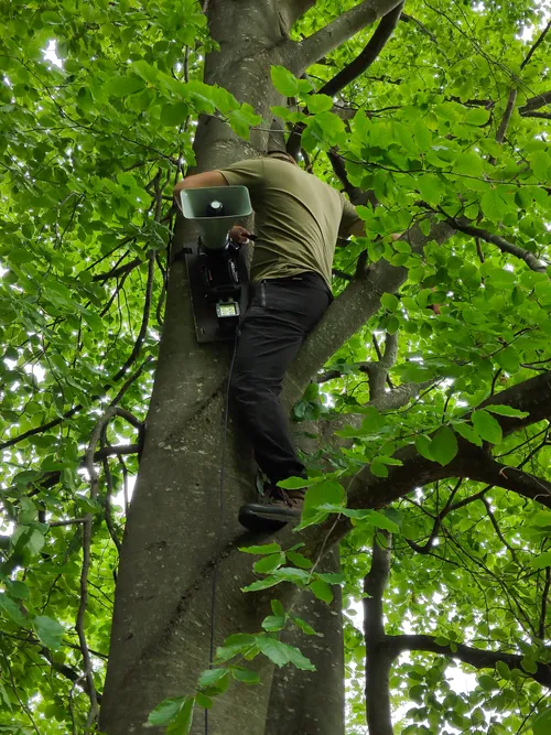 Deployment of the repellers